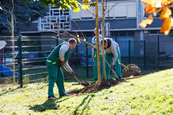 Podružnica Zrinjevac započela treću sezonu sadnje 8000 novih stabala na javnim gradskim površinama